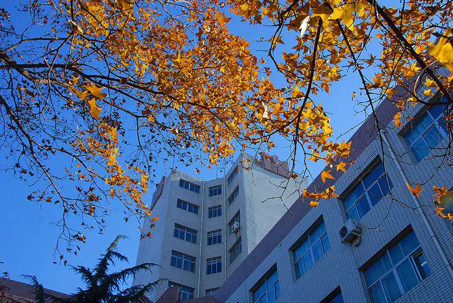 最独特的身份证,中国最有名身份证