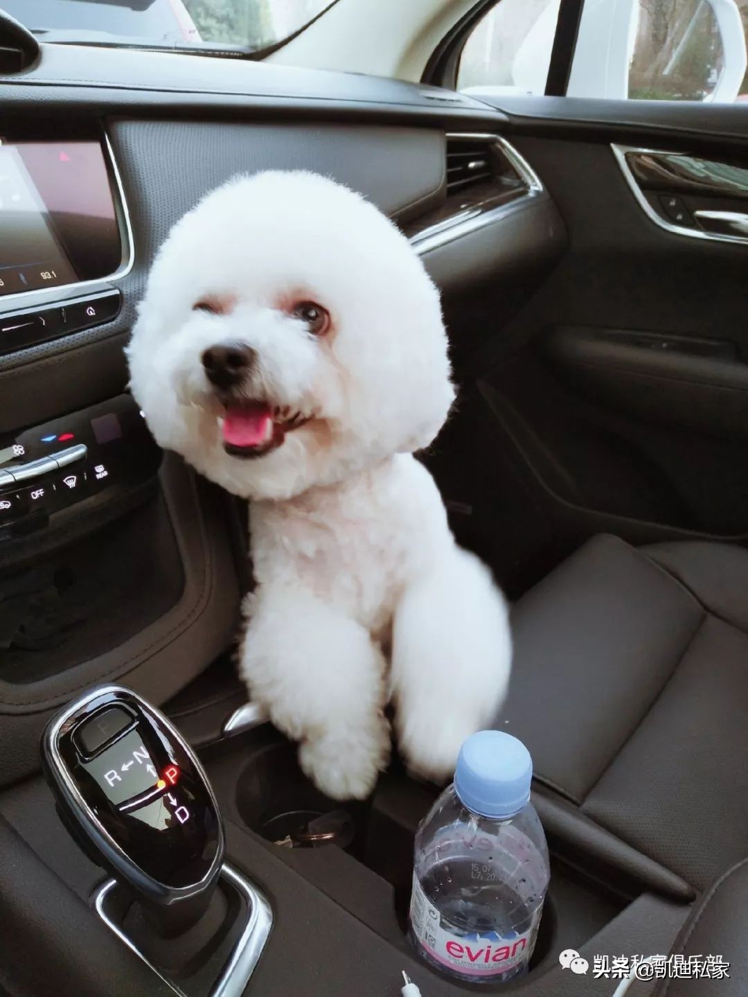 坐着奔驰长大的孩子,坐着儿子开的车倍感幸福