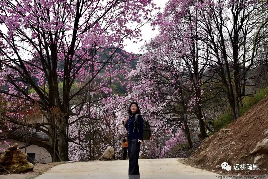 药王谷里觅旧迹（原图文）