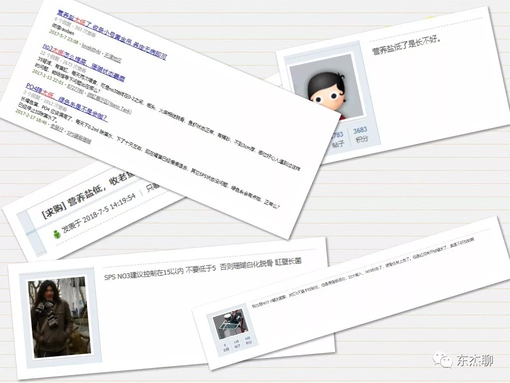 超低营养盐的海缸可以长期玩吗,海缸营养盐高不长藻