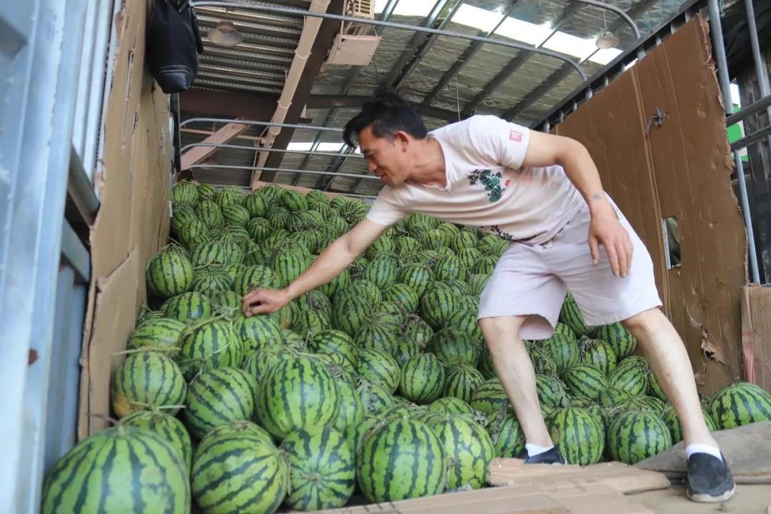 西瓜价格上涨原因,现在西瓜批发价格哪里最便宜