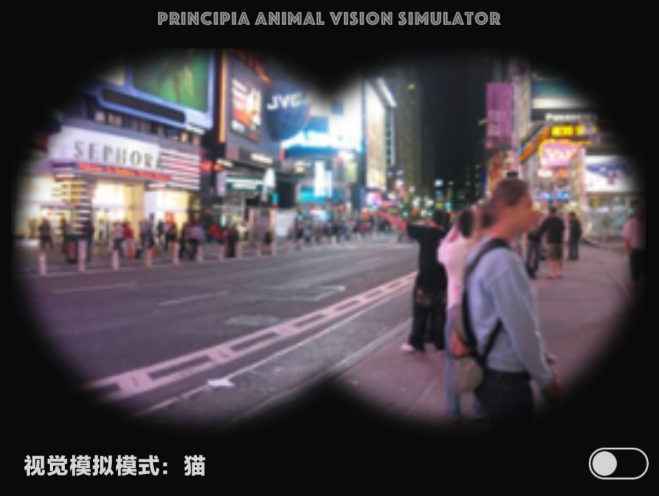 视觉软件exe,视觉模拟器