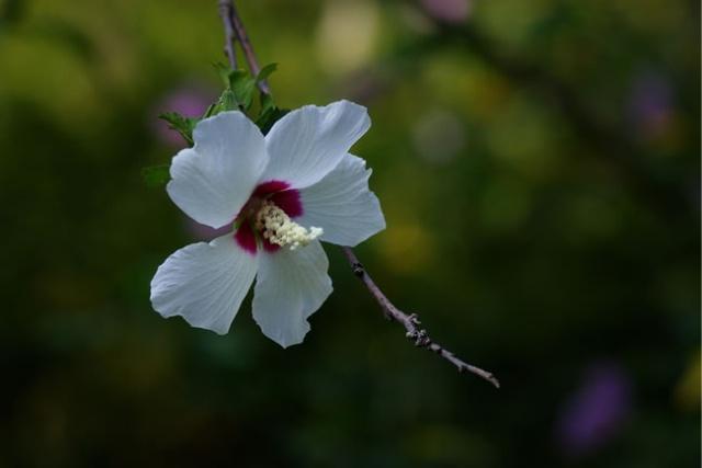 吟呻意思,吟呻的读音