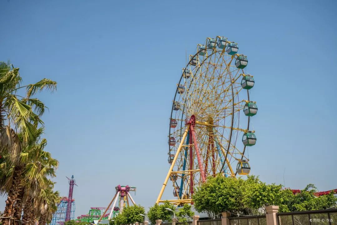 游玩半价票,雁荡山周末半价票