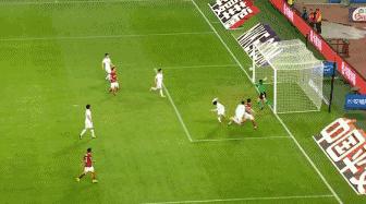 野牛进家,野牛加入国家队