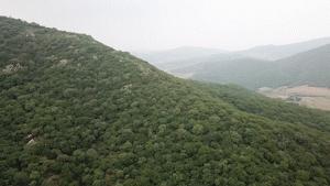 法库在哪儿？没来过好遗憾！乐游辽宁不虚此行