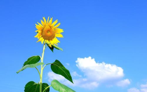 电话礼仪的一个正确示范,出入电梯时的位次排列礼仪