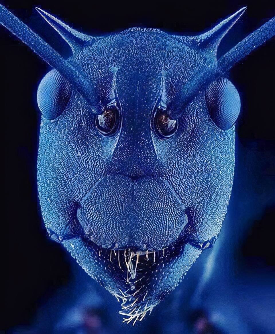 印度为什么贫富差异那么大,印度的贫富差距是多少