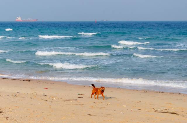 景色不输东南亚,美食百元吃到撑,这座滨海小城冬季正好最迷人