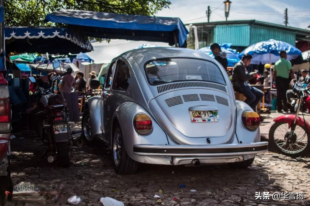 在这里你可以看到绚烂多彩的甲壳虫,因为他们是这里的精灵