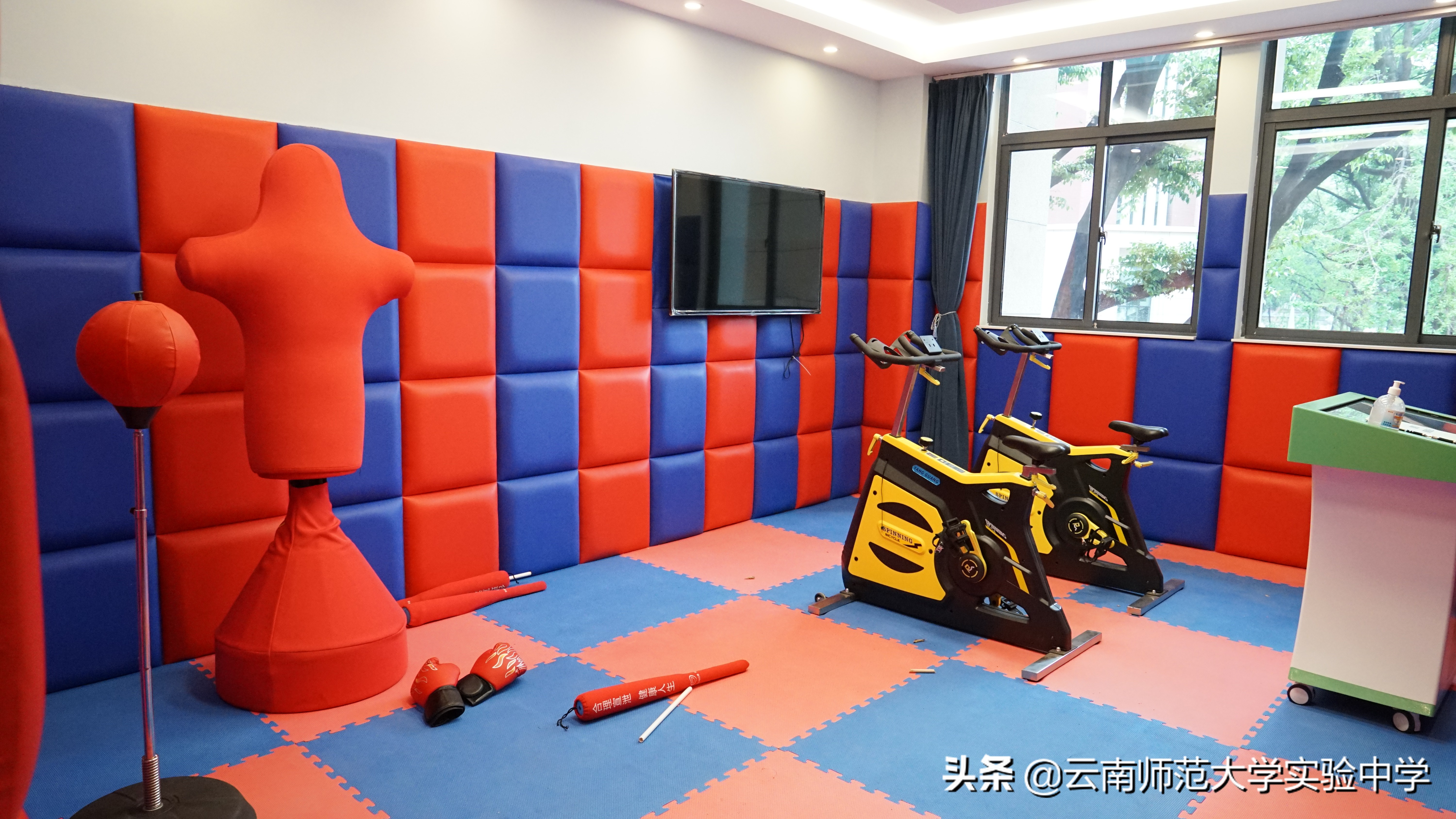 云南师大实验中学2021届8班,云南师范大学实验中学高中部