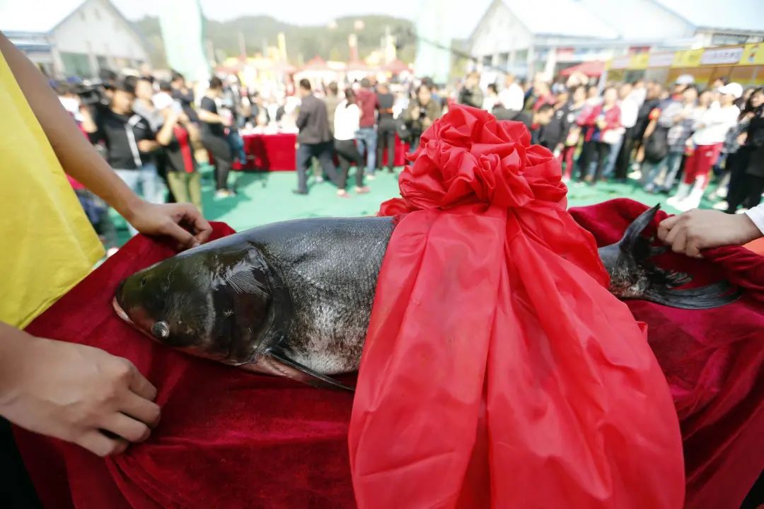 京郊这个美丽的小镇,北京一个适合旅游的小镇
