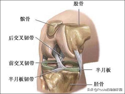 跑步会伤膝盖吗如何保护膝关节,穿高跟鞋经常久站怎么缓解
