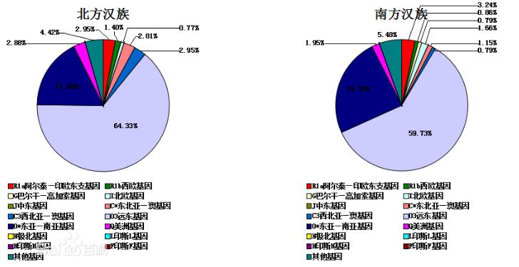 各民族基因对比,中国民族的遗传基因