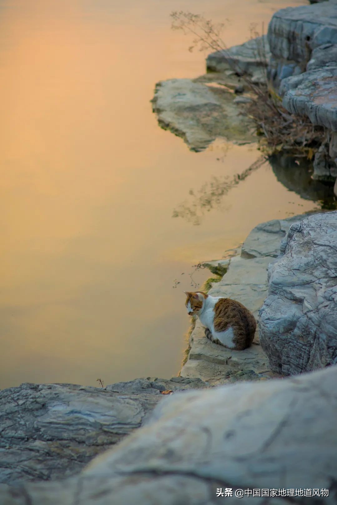 苏南人眼中的靖江,苏南人眼里的江南