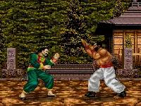 md战棋游戏,md双人游戏