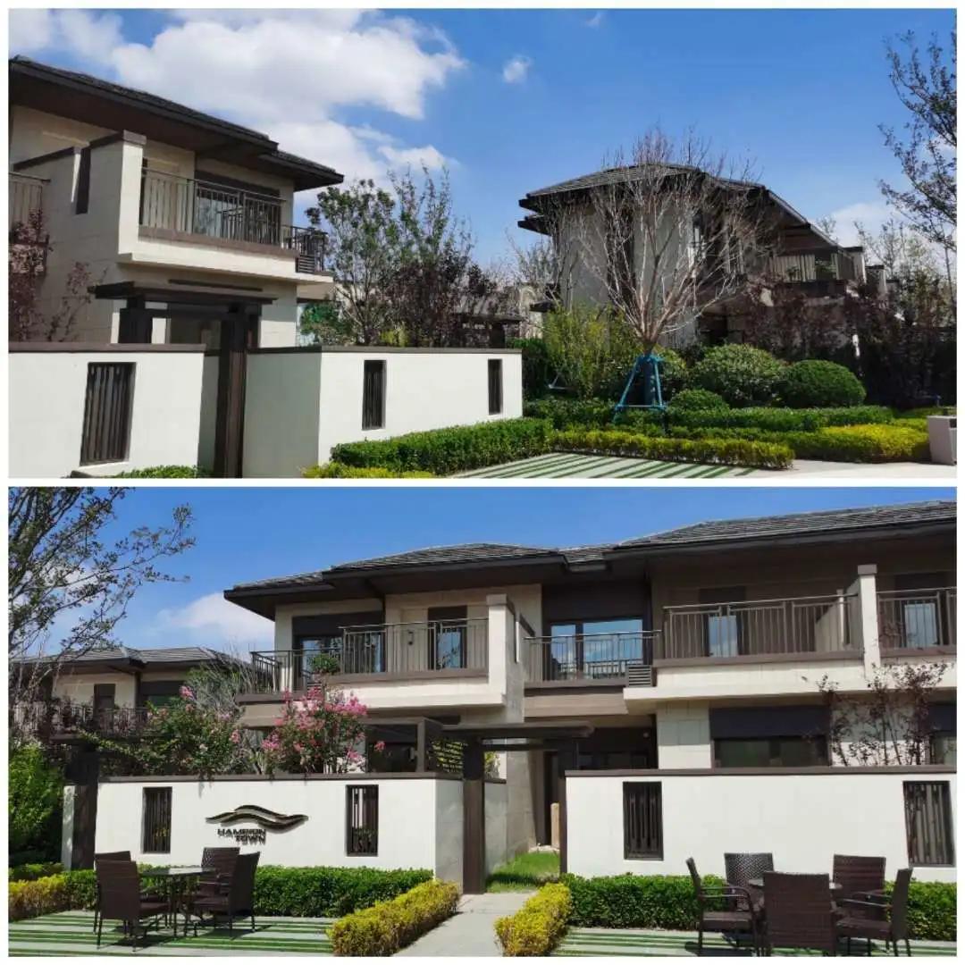 探寻北纬37度的秘密——一个向海而生的乐活小镇