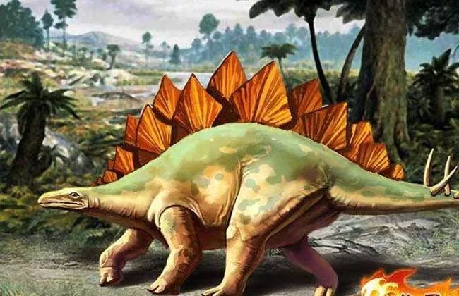 手工恐龙纸箱制作方法简单视频,抖音恐龙纸箱diy手工