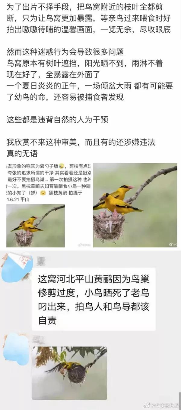 让人难过的不是吃食而是压抑,让人气愤的饮食片段