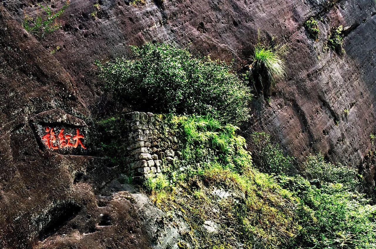 南平假期旅游攻略,南平周末去哪儿