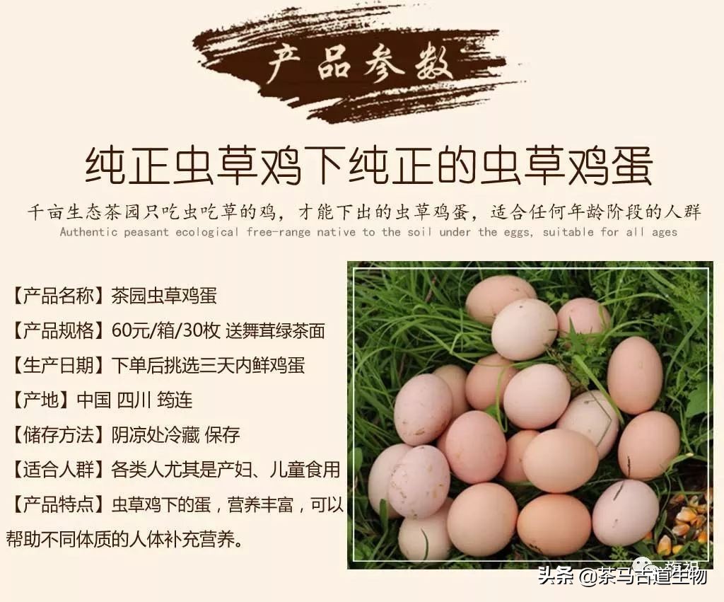 茶园散养绿壳鸡蛋,虫草蛋绿皮鸡蛋