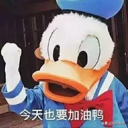 年薪排行榜前十的职业,工资最高的十大职业的平均薪酬