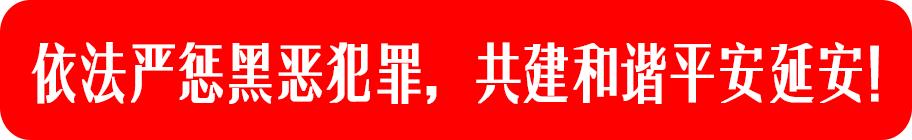 延安群星演唱会官方直播现场,2019延安群星演唱会