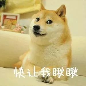 斗鱼鱼乐杯2019四强,斗鱼鱼乐杯s5