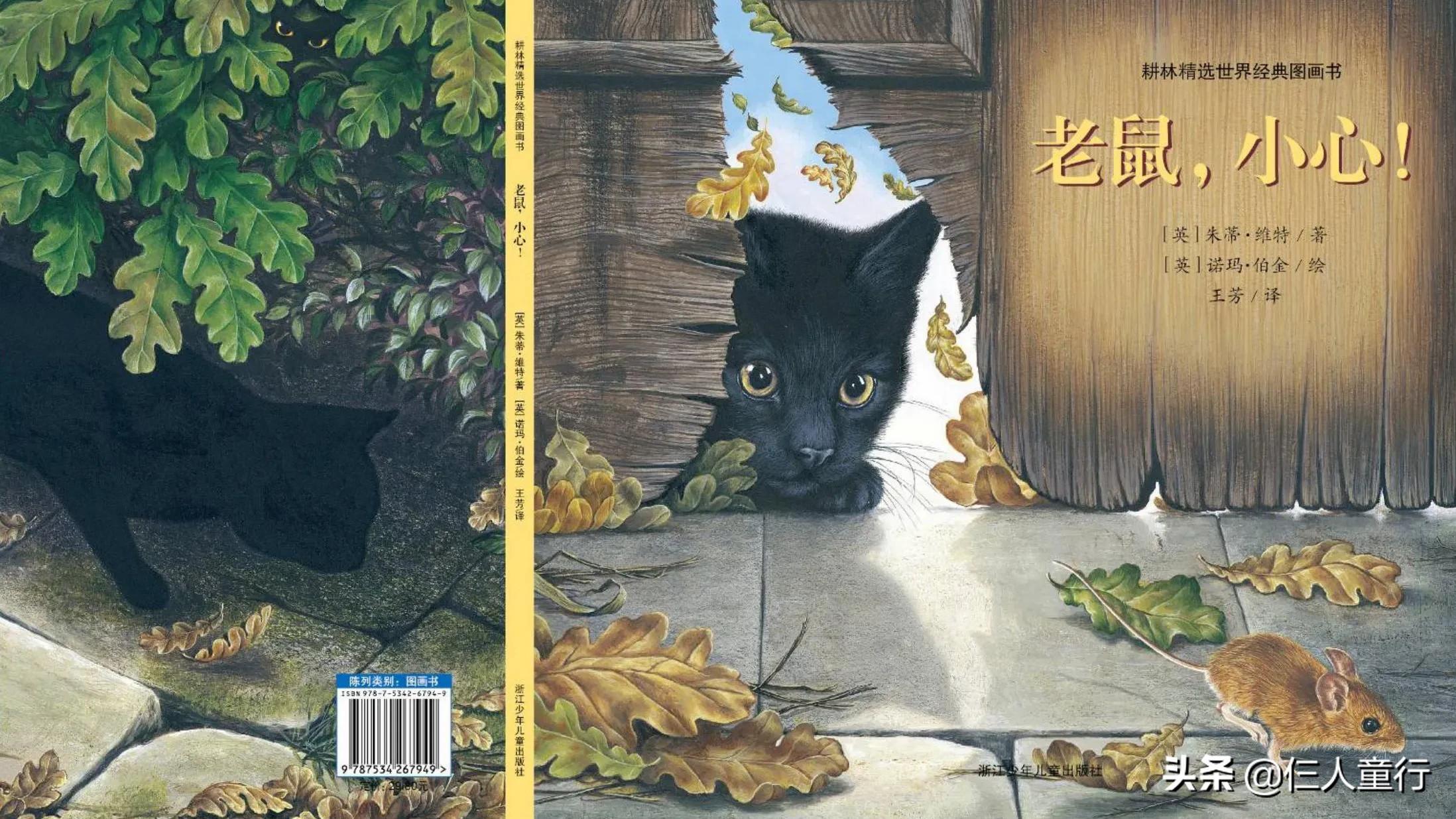 追逐与童趣｜精读世界经典图画书《老鼠，小心》