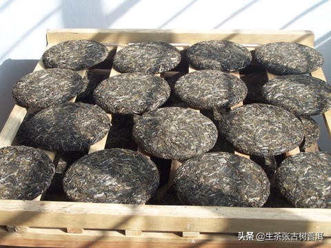 普洱茶从采摘到制作全过程,普洱生茶的制作工艺流程