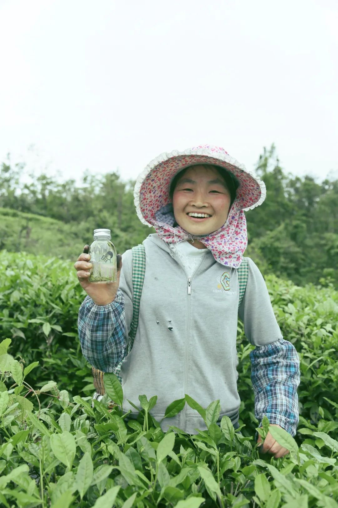 喜茶最新款饮品,喜茶奶茶店出的新品