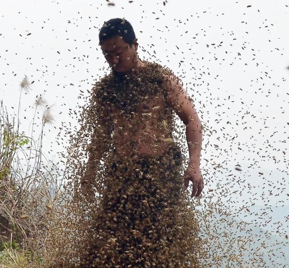 男子活捉泡酒被蛇咬伤险丧命,抓胡蜂被蜇死的视频