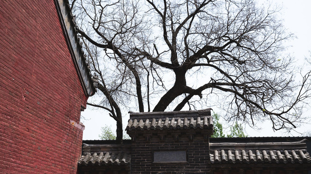 宋真宗御赐景德年号,宋真宗遗诏写的什么