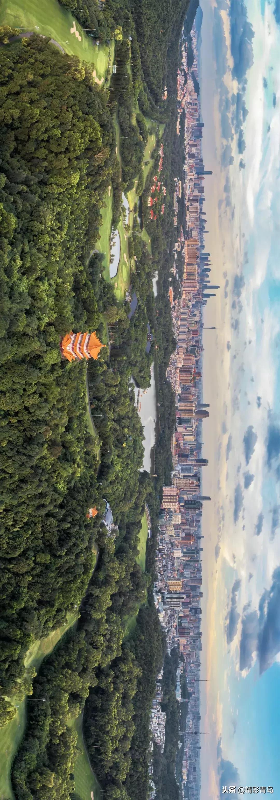 什么是麻雀定律,什么是应激反应表现有哪些