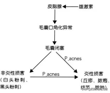 疮疡病的克星,清创宝典