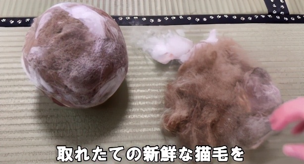 网友晒出5颗巨型毛球，救命！我快要窒息了