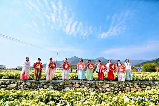 林明康/“麻城花挑”探源