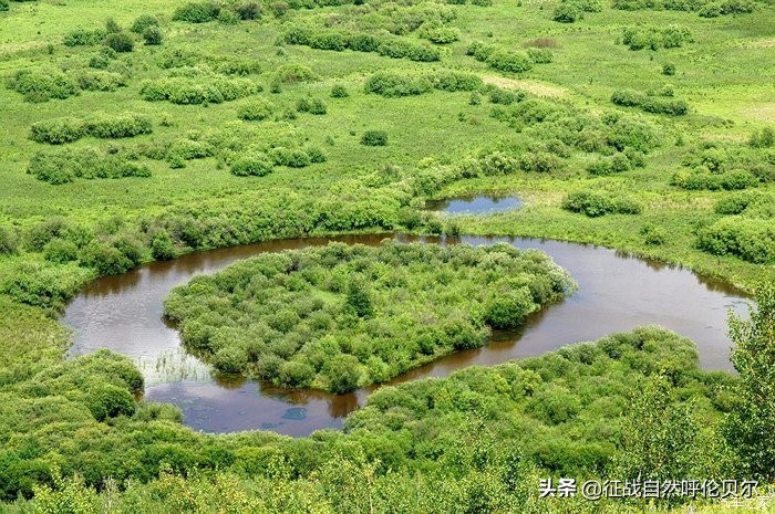 我来到你的城市走过你熟悉的街,我来到你的城市走过你走的路