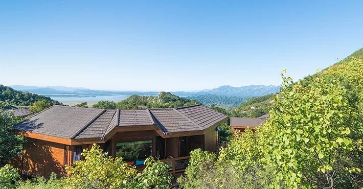 真正的森林树屋,这些树屋满足你对森林的所有幻想