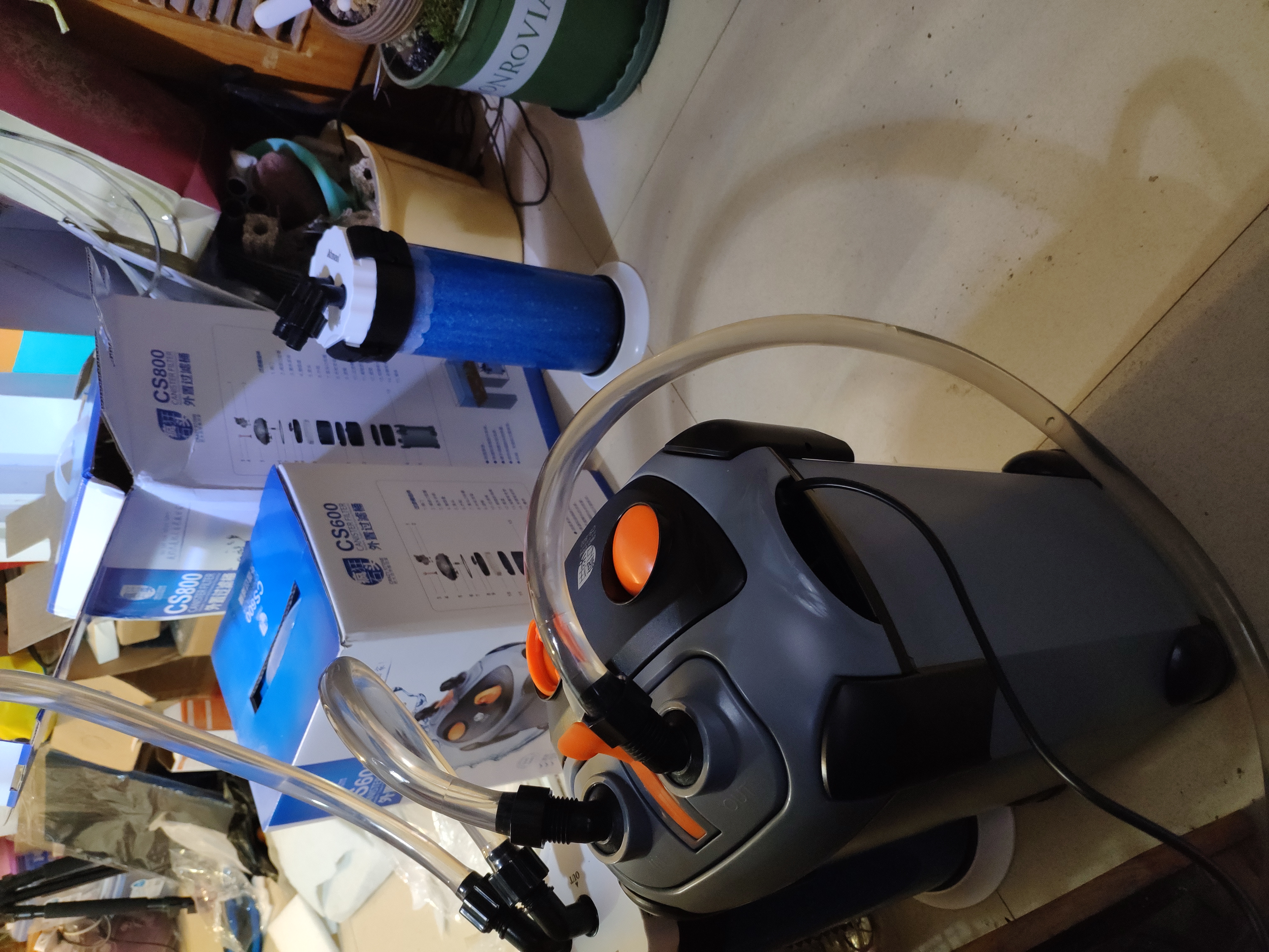 入坑养鱼花销,入坑草缸后的作品