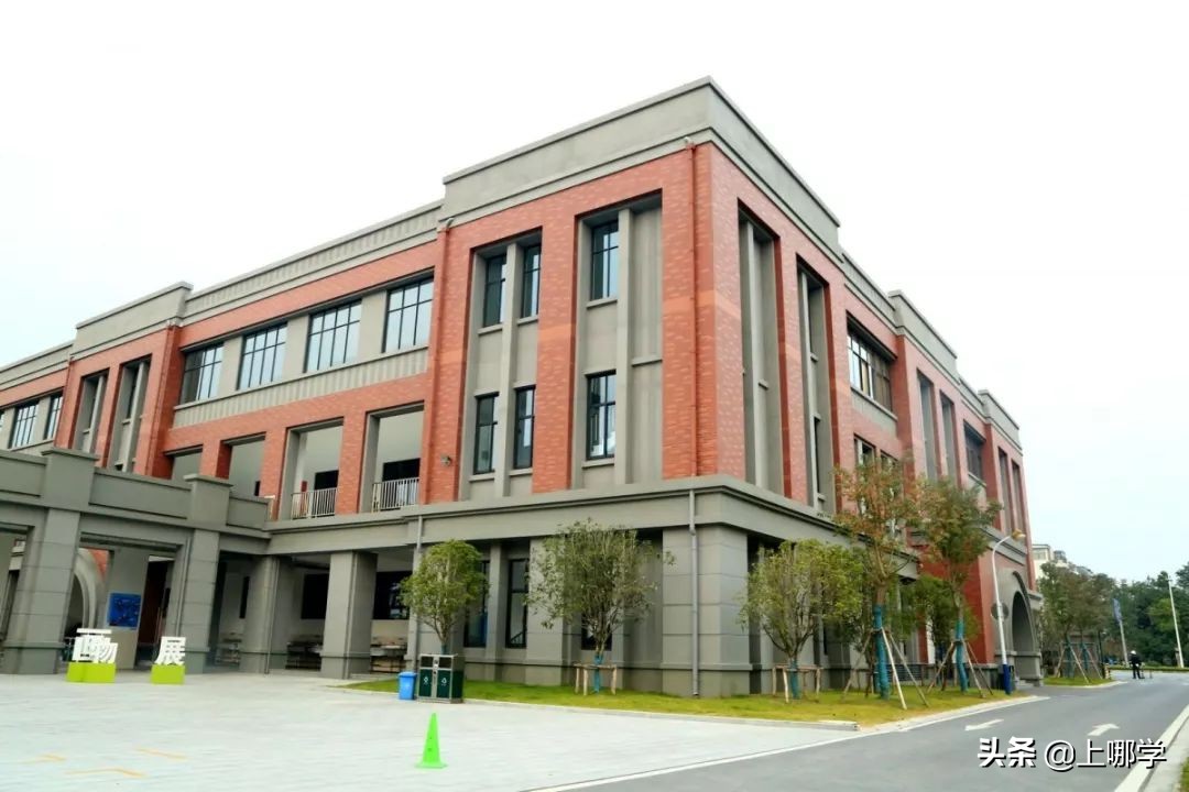 上海市的9所高校,沪上名校全日制