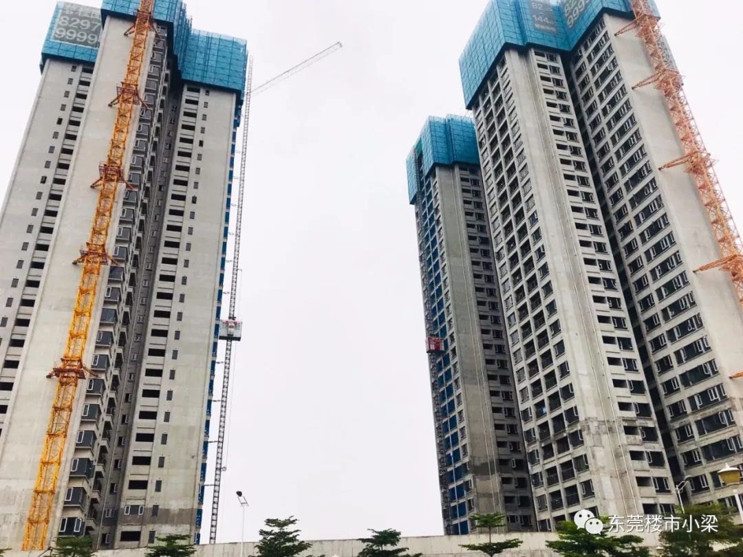 碧桂园常平玫瑰臻园别墅,东莞常平碧桂园玫瑰臻园