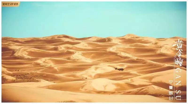 品味十级的《黄金瞳》，我先“盘”为敬！