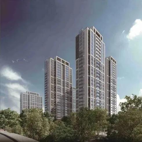 打新必看12月20号新股申购,打新必看3月22日