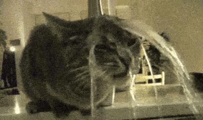 大牌精华该买吗,现在的精华值得购买吗