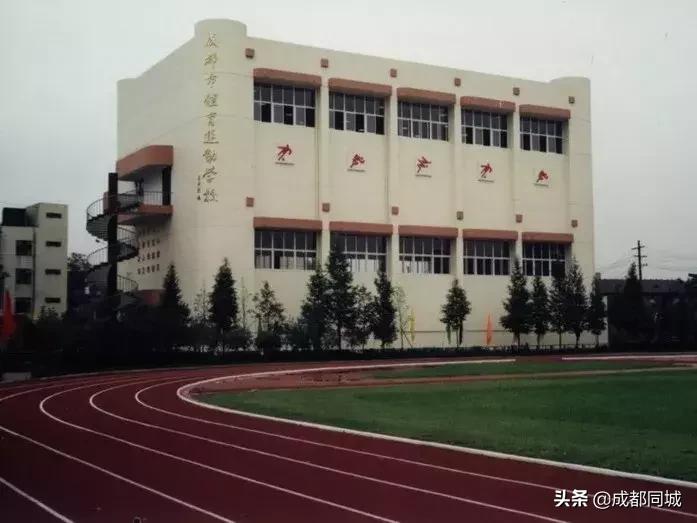 成都公共球场,成都公共体育场馆
