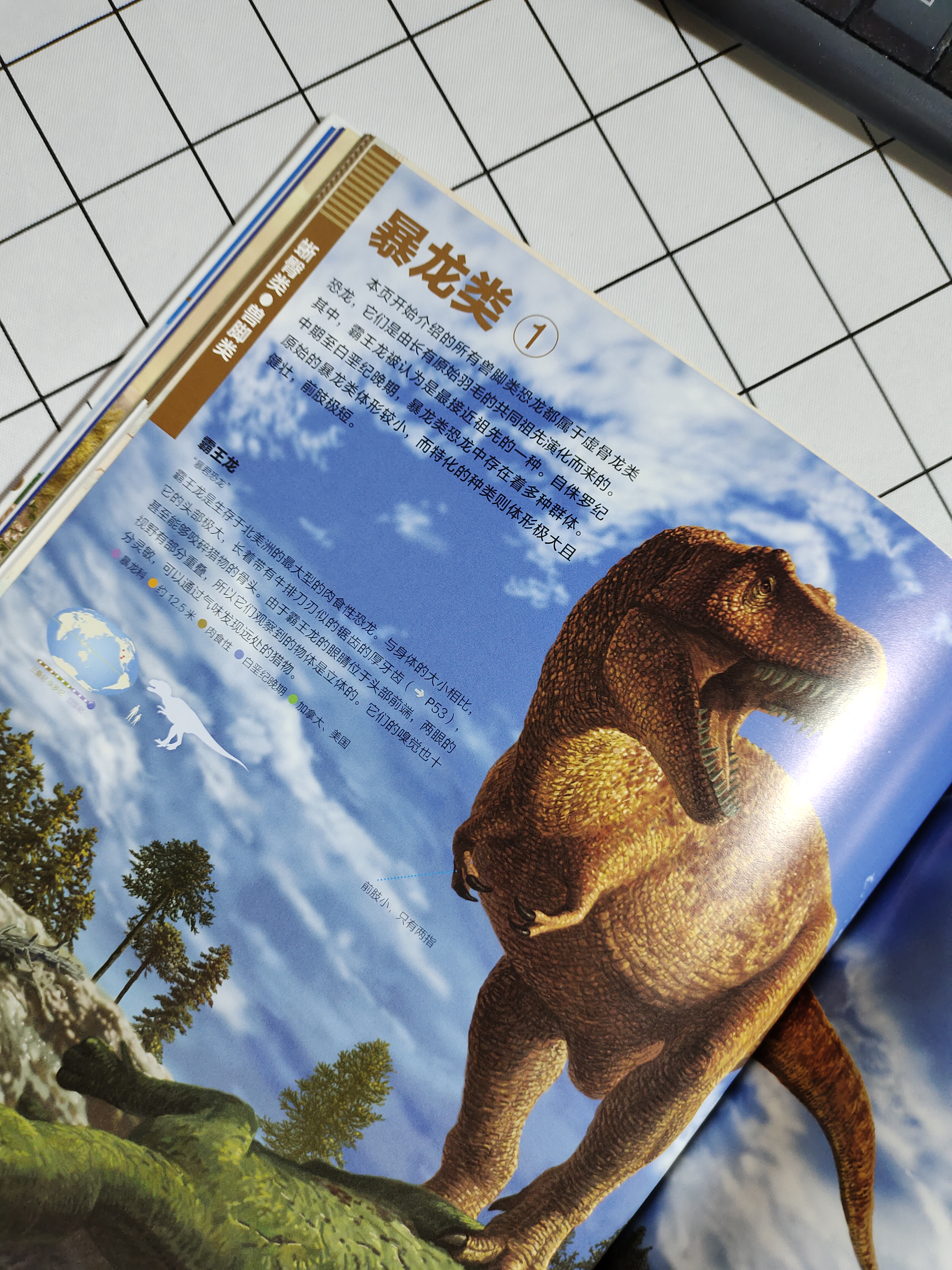 恐龙百科全书恐龙世界的无穷奥秘,世界上最全的恐龙百科全书