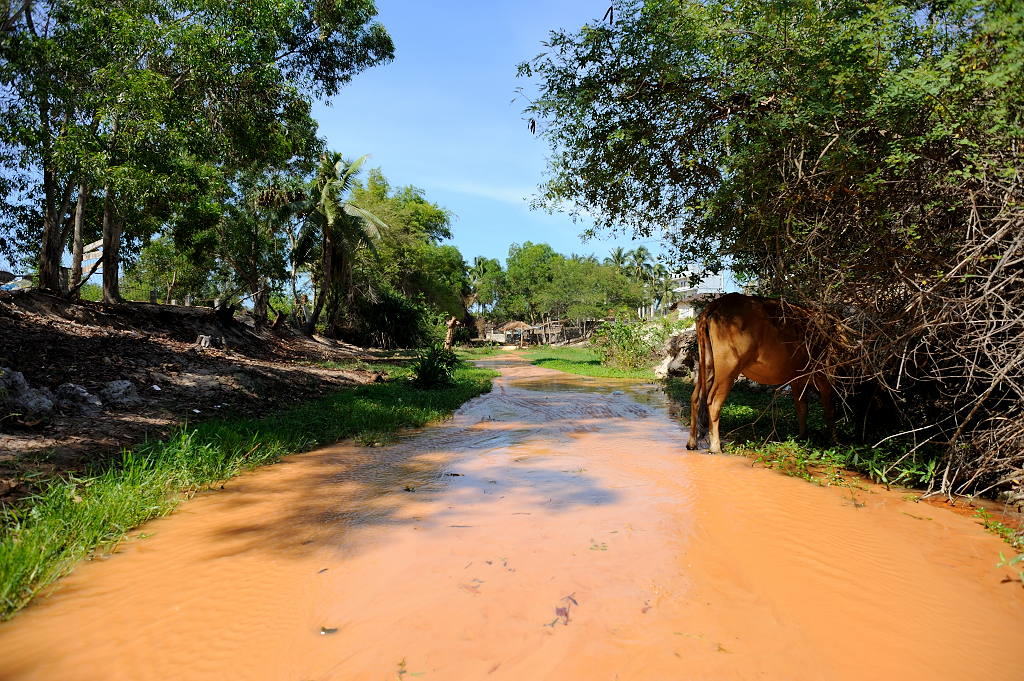 越南美奈,越南美奈之旅
