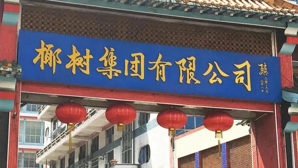 椰树椰汁终于换logo,椰树牌椰汁风格设计模板