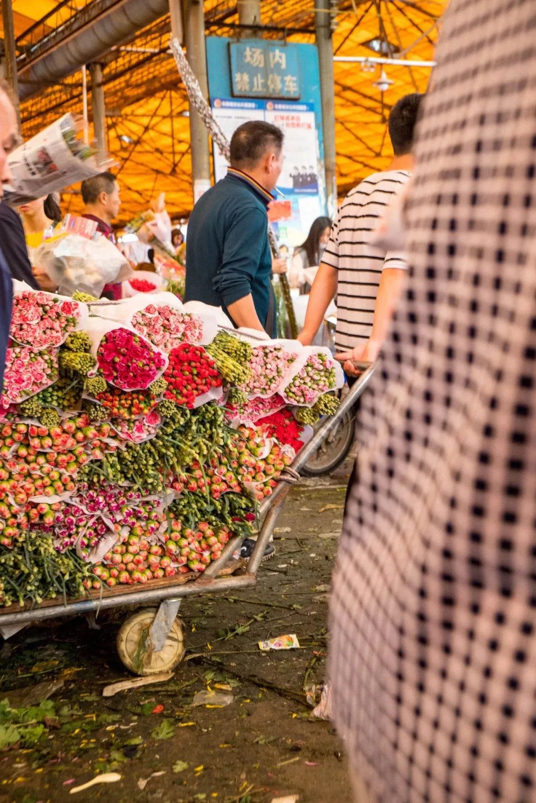 广州最便宜的花卉市场1块钱,广州岭南花卉市场买花攻略